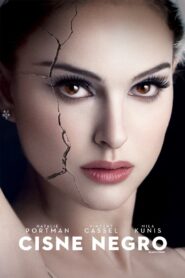 El cisne negro Online En Netflix