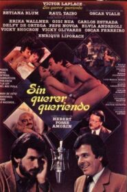 Sin querer, queriendo Online En Netflix