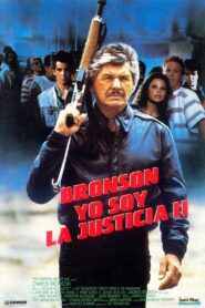 El vengador anónimo 4: El regreso del justiciero Online En Netflix