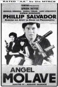 Angel Molave Online En Netflix