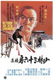 少林搭棚大師 Online En Netflix