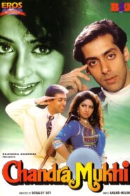 चन्द्र मुखी Online En Netflix