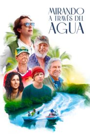Looking Through Water Online En Netflix