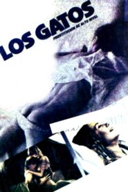 Los gatos (Prostitución de alto nivel) Online En Netflix