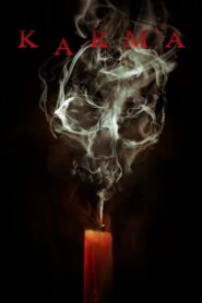 Karma Online En Netflix