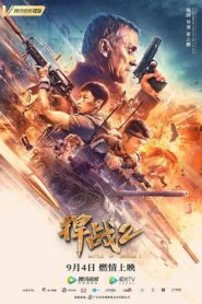 捍战2 Online En Netflix