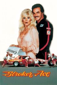 Stroker Ace Online En Netflix