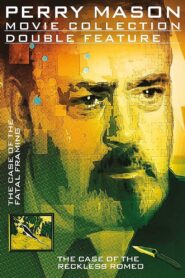 Perry Mason: The Case of the Fatal Framing Online En Netflix