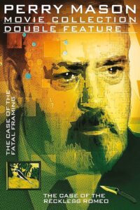 Perry Mason: The Case of the Fatal Framing Online En Netflix