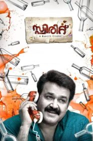 സ്പിരിറ്റ് Online En Netflix