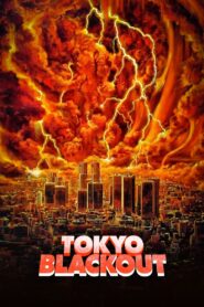 首都消失 Online En Netflix