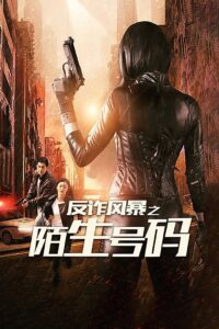 反诈风暴之陌生号码 Online En Netflix
