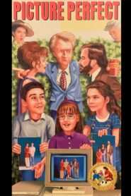 Picture Perfect Online En Netflix