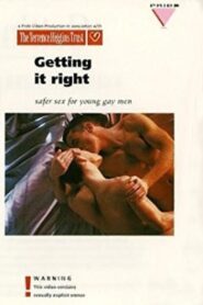 Getting It Right: Safer Sex for Young Gay Men Online En Netflix