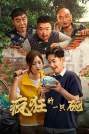 疯狂的一只碗 Online En Netflix