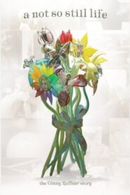 A Not So Still Life Online En Netflix