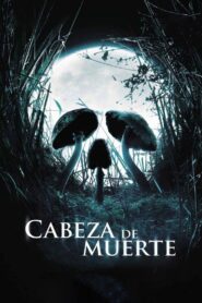 Alucinaciones Online En Netflix