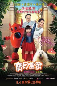 寶貝當家 Online En Netflix