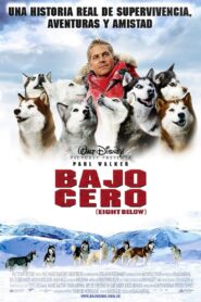 Rescate en la Antártida Online En Netflix