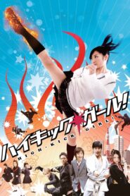 ハイキック・ガール! Online En Netflix