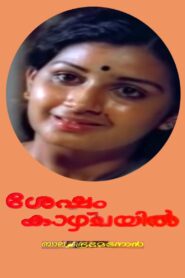 ശേഷം കാഴ്ച്ചയില് Online En Netflix