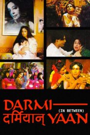 Darmiyaan: In Between Online En Netflix