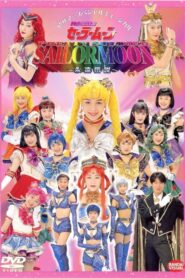 美少女戦士セーラームーン 永遠伝説 Online En Netflix