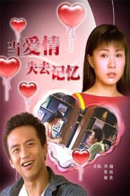 When Love Lost Memory Online En Netflix