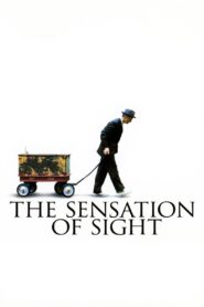 The Sensation of Sight Online En Netflix