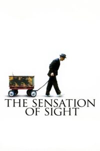 The Sensation of Sight Online En Netflix