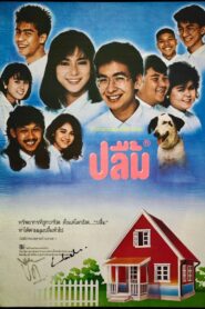 ปลื้ม Online En Netflix