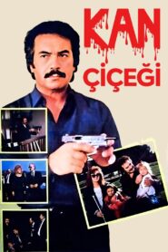 Kan Çiçeği Online En Netflix