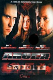 Gniew Online En Netflix