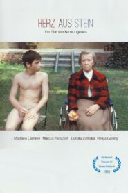 Herz aus Stein Online En Netflix