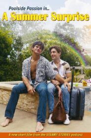 A Summer Surprise Online En Netflix