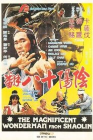 陰陽十八翻 Online En Netflix