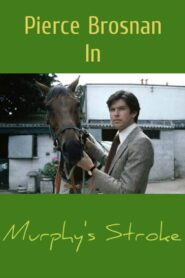 Murphy’s Stroke Online En Netflix
