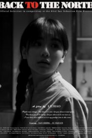 向北方 Online En Netflix