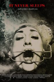 It Never Sleeps Online En Netflix