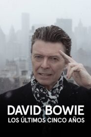 David Bowie: Los últimos cinco años Online En Netflix