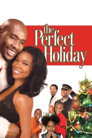 The Perfect Holiday Online En Netflix