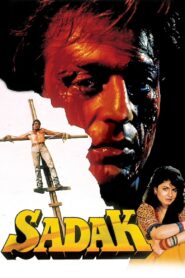 सड़क Online En Netflix