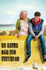 Os Gatos Não Têm Vertigens Online En Netflix