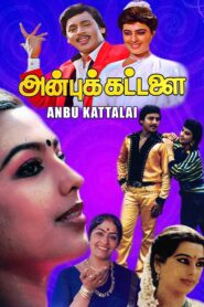 அன்புக்கட்டளை Online En Netflix