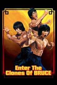 Enter the Clones of Bruce Online En Netflix