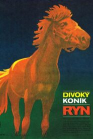 Divoký koník Ryn Online En Netflix