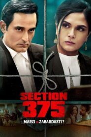 Section 375 Online En Netflix