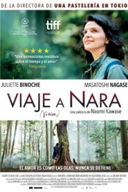 ビジョン Online En Netflix
