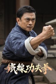 广东十虎:铁拳无敌 Online En Netflix