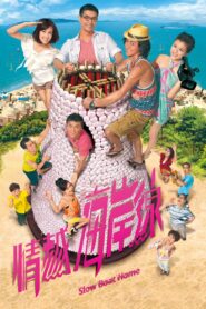情越海岸線 2013 En Netflix